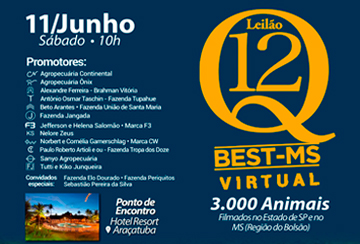 LEILÃO VIRTUAL Q12 - BEST/MS