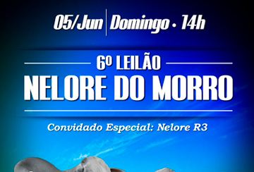 6º LEILÃO NELORE DO MORRO