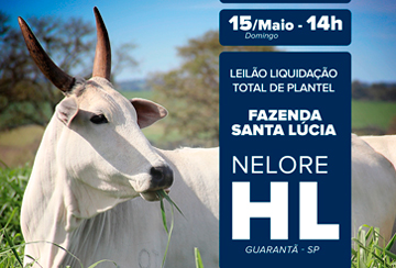 LEILÃO LIQUIDAÇÃO TOTAL DE PLANTEL FAZENDA SANTA LÚCIA - NELORE HL