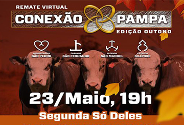 REMATE VIRTUAL CONEXÃO PAMPA - EDIÇÃO OUTONO - ETAPA MACHOS