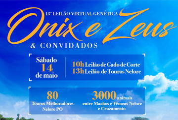 13º LEILÃO GENÉTICA ONIX E ZEUS & CONVIDADOS - CORTE