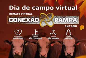 DIA DE CAMPO VIRTUAL - REMATE CONEXÃO PAMPA OUTONO