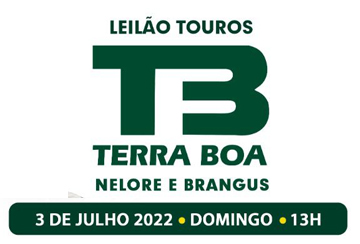 LEILÃO TOUROS TERRA BOA