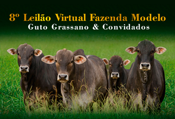8º LEILÃO VIRTUAL FAZENDA MODELO - GUTO GRASSANO & CONVIDADOS - ETAPA CORTE