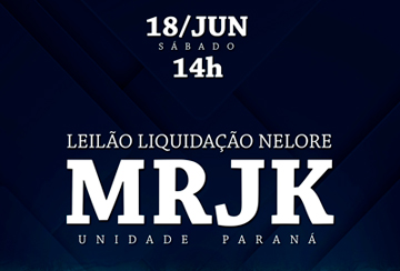 LEILÃO LIQUIDAÇÃO NELORE MRJK