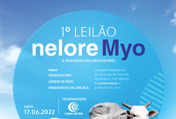 1º LEILÃO NELORE MYO & PARCEIROS MULTIPLICADORES (DE OLHO NA FAZENDA DE 13 A 17/06)