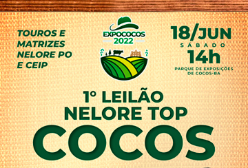 1º LEILÃO NELORE TOP COCOS