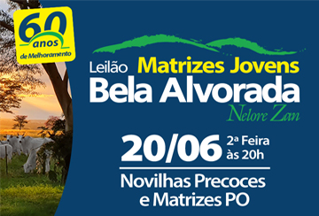 LEILÃO MATRIZES JOVENS BELA ALVORADA - NELORE ZAN & CONVIDADOS