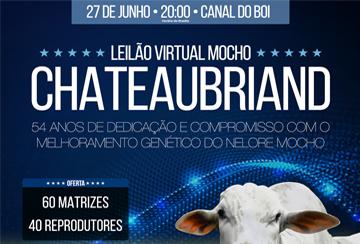 LEILÃO VIRTUAL MOCHO CHATEAUBRIAND