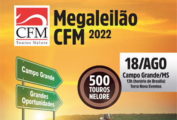 MEGA LEILÃO CFM 2022