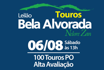LEILÃO TOUROS BELA ALVORADA - NELORE ZAN