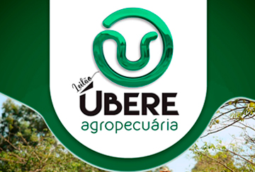 LEILÃO UBERE AGROPECUÁRIA