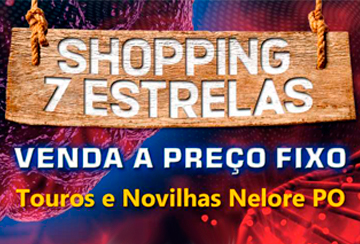 SHOPPING 7 ESTRELAS