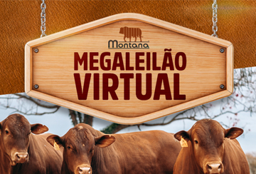 MEGA LEILÃO VIRTUAL MONTANA