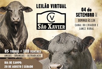 LEILÃO VIRTUAL SÃO XAVIER