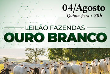 LEILÃO FAZENDAS OURO BRANCO