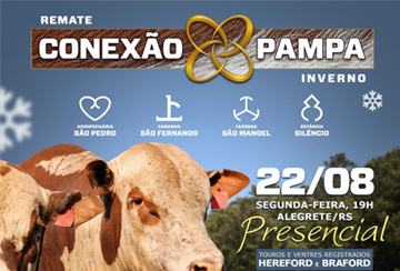 REMATE CONEXÃO PAMPA