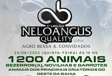 1º LEILÃO VIRTUAL NELOANGUS QUALITY