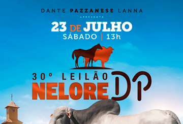 30º LEILÃO NELORE DP