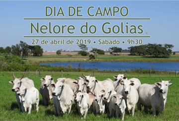 DIA DE CAMPO NELORE DO GOLIAS