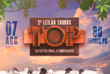 2º LEILÃO TOUROS TOP SAFRA COLONIAL E CONVIDADOS