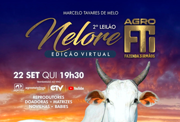 2º LEILÃO VIRTUAL NELORE AGRO FTI