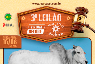 3º LEILÃO VIRTUAL MARCA SOL NELORE