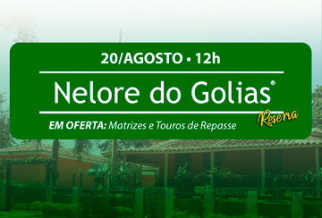 LEILÃO NELORE DO GOLIAS - RESERVA