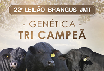 22º LEILÃO BRANGUS JMT