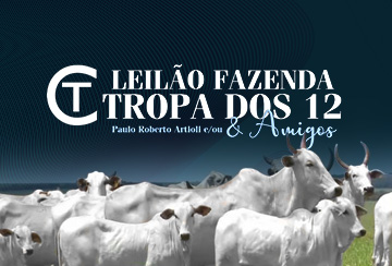 LEILÃO FAZENDA TROPA DOS 12 & AMIGOS