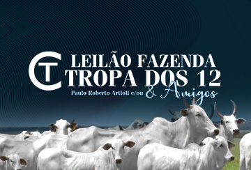 LEILÃO FAZENDA TROPA DOS 12 & AMIGOS