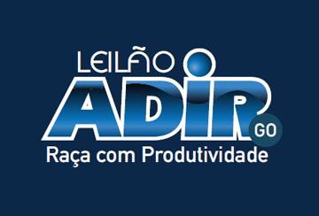 LEILÃO DO ADIR - GOIÁS