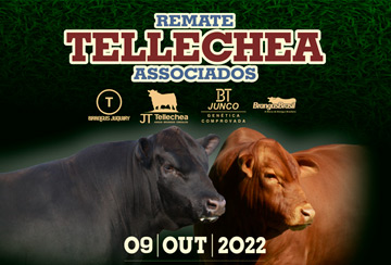 REMATE TELLECHEA ASSOCIADOS