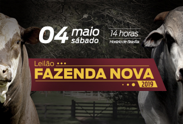 LEILÃO VIRTUAL FAZENDA NOVA - TOUROS E MATRIZES