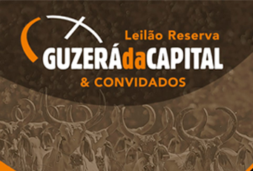 LEILÃO RESERVA GUZERÁ DA CAPITAL & CONVIDADOS