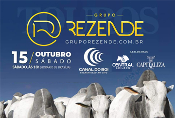 LEILÃO TOUROS GRUPO REZENDE