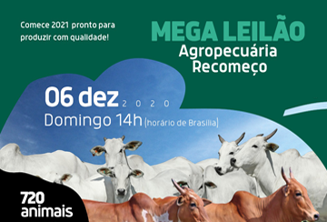 MEGA LEILÃO AGROPECUÁRIA RECOMEÇO