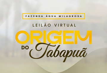 LEILÃO VIRTUAL ORIGEM DO TABAPUÃ - FAZENDA ÁGUA MILAGROSA