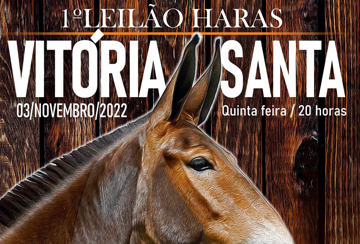 1º LEILÃO HARAS VITÓRIA SANTA