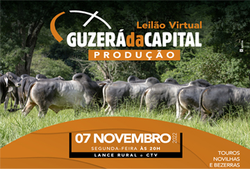 LEILÃO VIRTUAL GUZERÁ DA CAPITAL - PRODUÇÃO