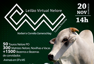 LEILÃO VIRTUAL NELORE CW - REPRODUTORES