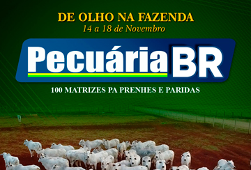 DE OLHO NA FAZENDA PECUÁRIA BR (DE 14 A 18 DE NOVEMBRO)