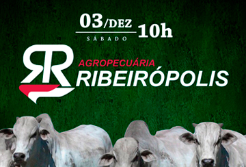 LEILÃO AGROPECUÁRIA RIBEIRÓPOLIS