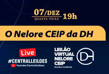 LIVE - LEILÃO VIRTUAL NELORE CEIP DH