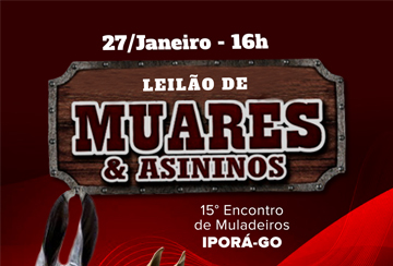 LEILÃO DE MUARES & ASININOS