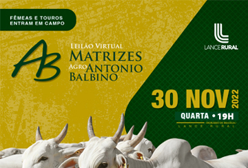 LEILÃO VIRTUAL MATRIZES AGRO ANTÔNIO BALBINO