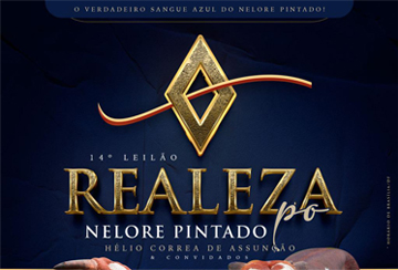 14º LEILÃO REALEZA - NELORE PINTADO PO