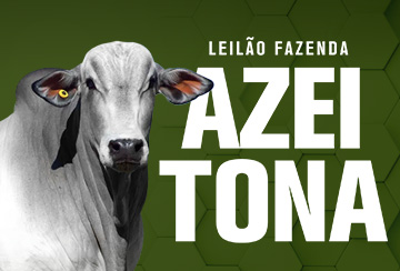 LEILÃO FAZENDA AZEITONA