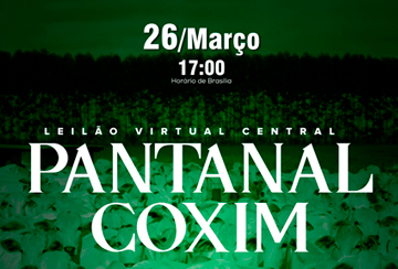 LEILÃO VIRTUAL CENTRAL PANTANAL COXIM