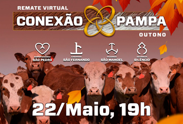 REMATE VIRTUAL CONEXÃO PAMPA - EDIÇÃO OUTONO FÊMEAS